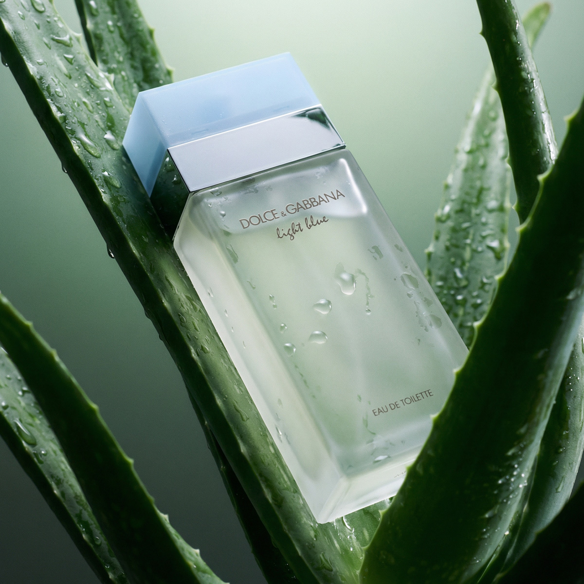 Dolce & Gabbana Light Blue Eau De Toilette 25ml Kvepalai Moterims thumbnail 1