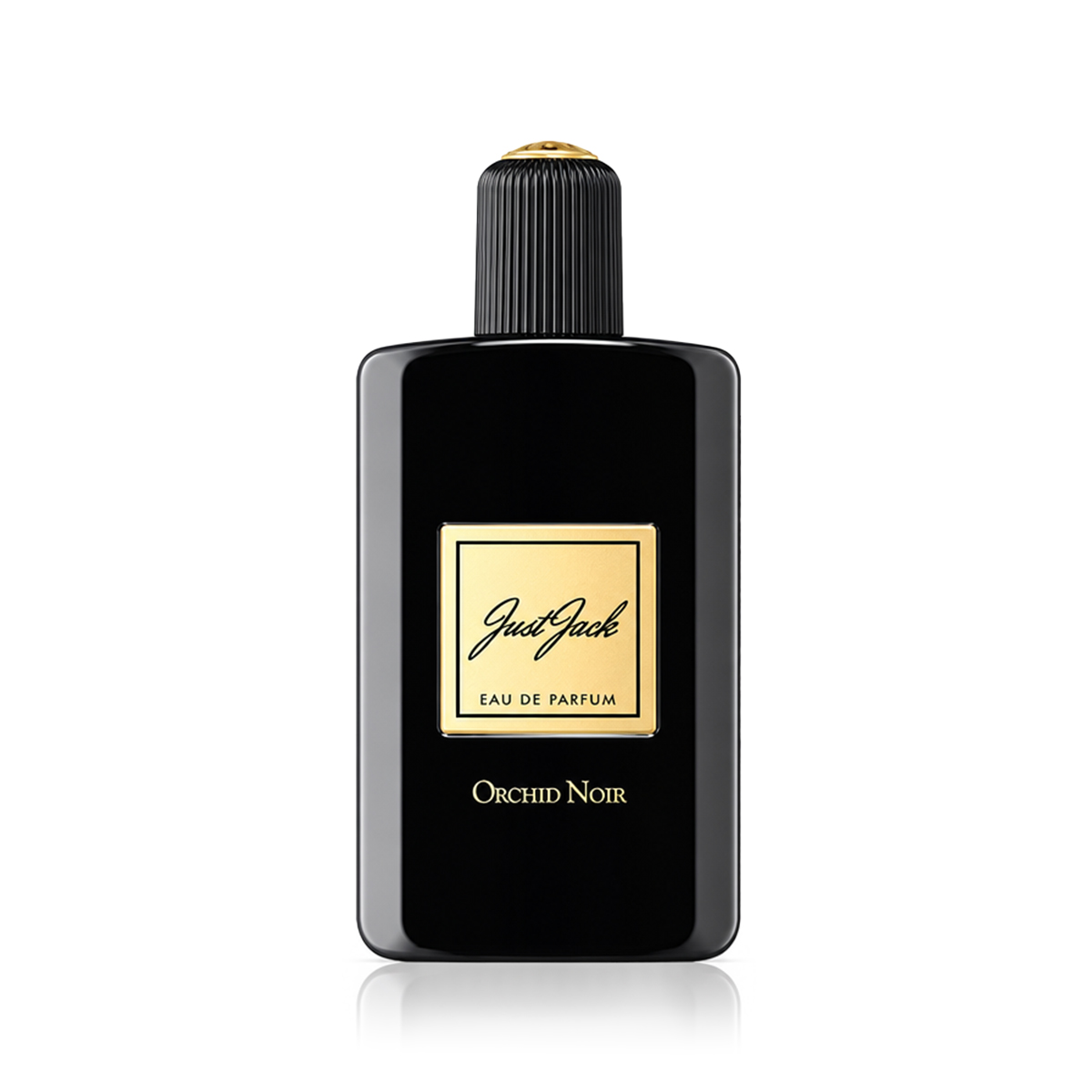 Orchid Noir